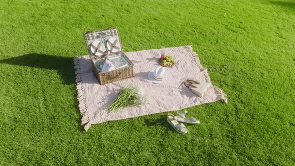 Aerial  Picnic Basket on Green Grass Apples and Plates on Bright Green Lawn