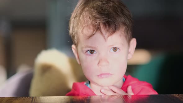 Little Boy Sits at a Table in a Cafe and Waits for a Treat