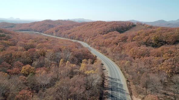 Aerial Shot of Cars Driving on a Highway Road in Between Autumn Forest Fall Season