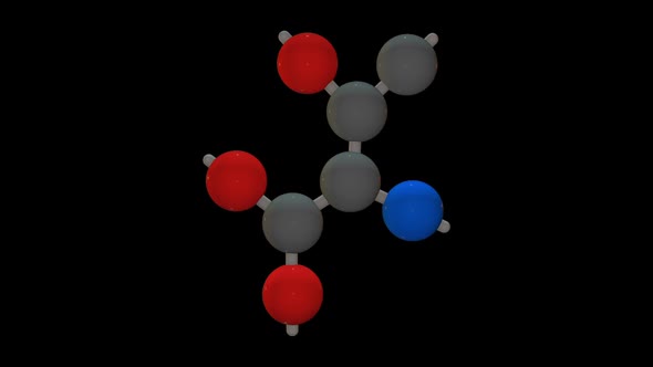L-threonine - Amino acid model