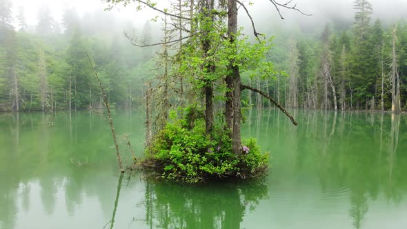 Magical Morning Misty Lake with Fog at Summer Beautiful Swamp Aerial Nature Landscape