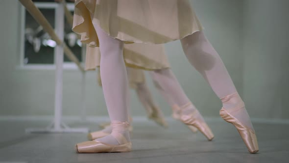 Unrecognizable Slim Ballerinas Rehearsing Tendu and Plie Ballet Movements at Barre in Dance Studio