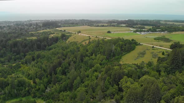 Aerial Dolly Forward of Green Hills and Trees Near Ocean