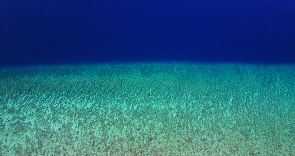 Beautiful fly over clean view of a paradise sunny white sand beach and blue sea background in colour