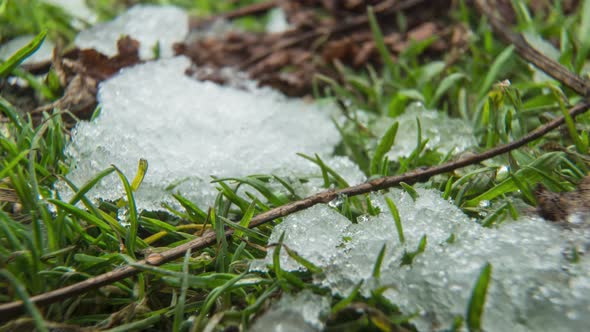 Macro Timelapse Shot of Shiny Melting Snow Particles Turning Into Liquid Water and Unveiling Green