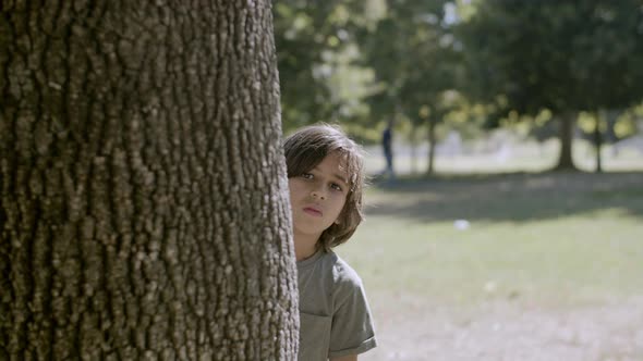 Medium Shot of Cheerful Boy Peeping Out of Tree and Smiling