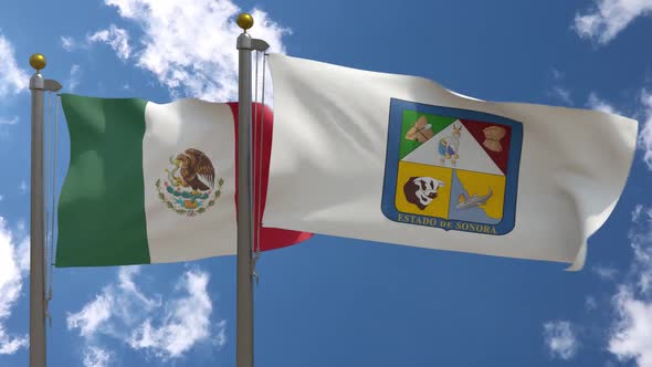 Mexico Flag Vs Sonora Flag On Flagpole