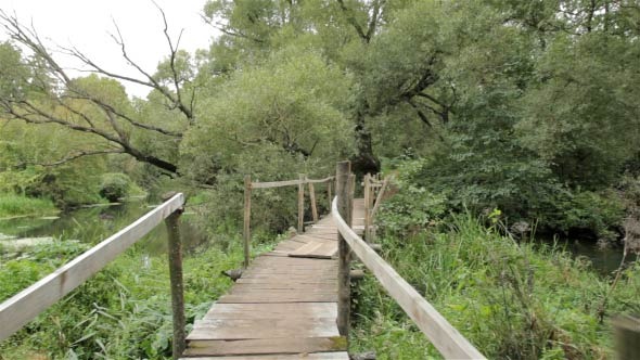 Wooden Bridge in the Forest