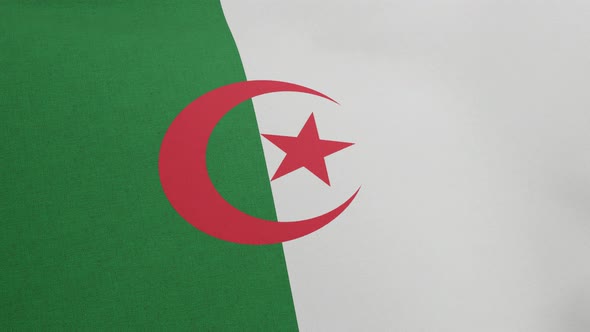 National Flag of Algeria Waving Original Size and Colors 3D Render Peoples Democratic Republic of