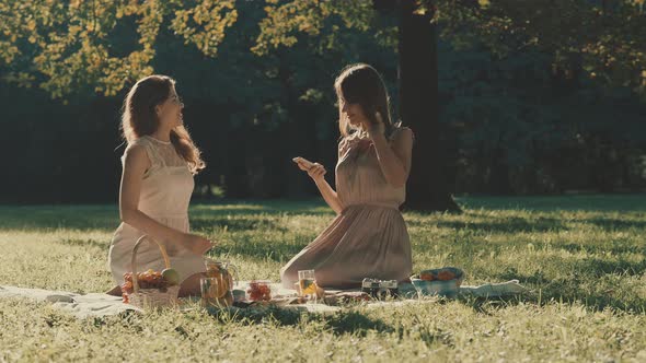 Young Attractive Girls At A Picnic