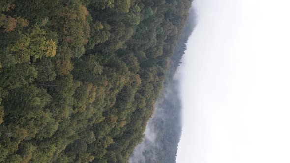 Vertical Video of Fog in the Mountains