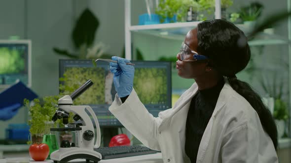 Pharmaceutical Woman Looking at Organic Leaf Sample