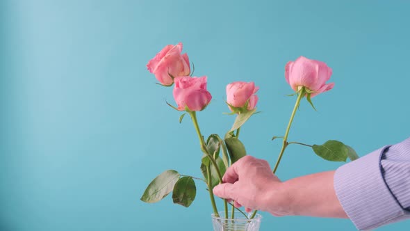 Man Hand Removes Pink Roses Flower From the Vase