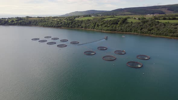 A Fish Farm in Scotland Providing Mariculture for Food Markets