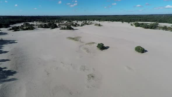 Aerial footage of trees in dunes.