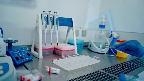 Medical blood test tubes. Empty glass test tubes in the stand