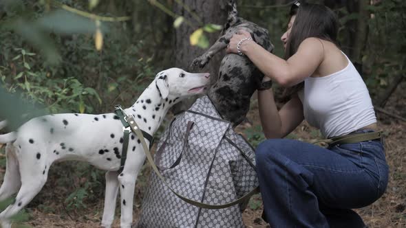 Walk with Pets