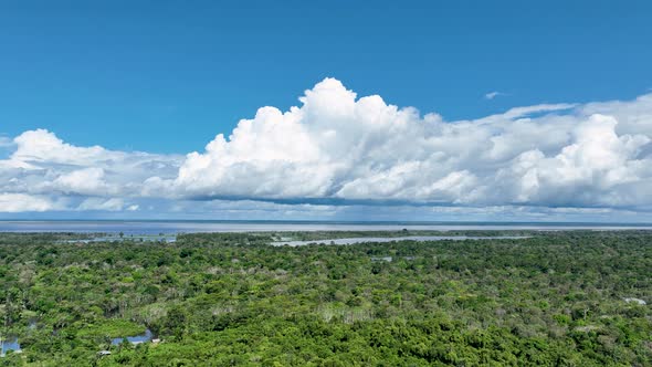 Stunning landscape of Amazon Forest at Amazonas State Brazil.