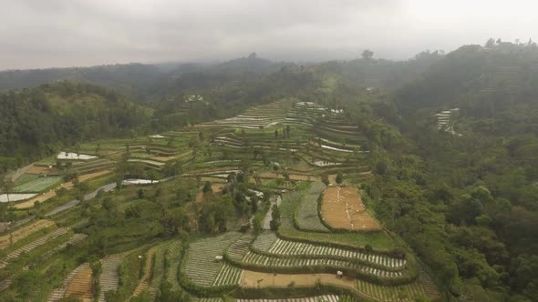 Tropical Landscape with Farmlands in Mountains