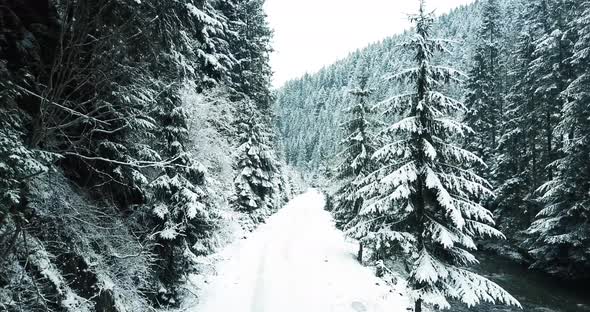 Beautiful Snowcovered Road in the Winter Forest a Mountain River Flows Nearby