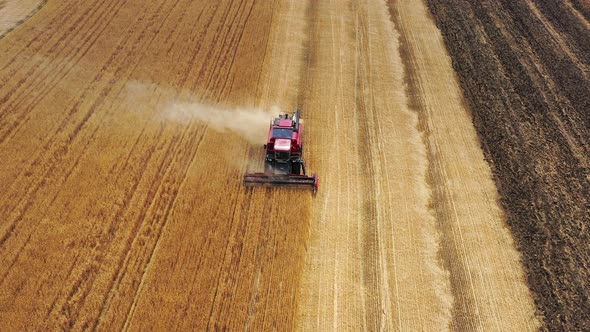 Aerial View of Combine on Harvest Field