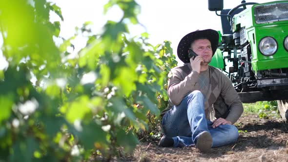 A Modern Farmer or Winemaker Talks on a Smartphone During the Harvest Season in the Vineyard