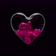a Glass Container in the Form of a Heart is Filled with Liquid with an Alpha Channel - VideoHive Item for Sale