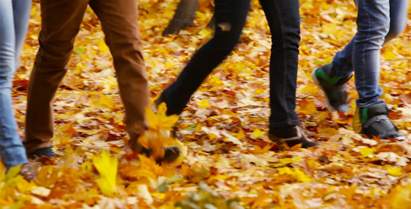 Ankle-deep In Leaves