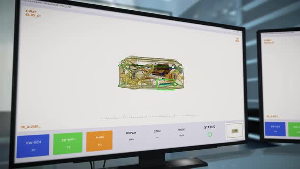 Customs Control tech has identified an automatic rifle after luggage screening alt