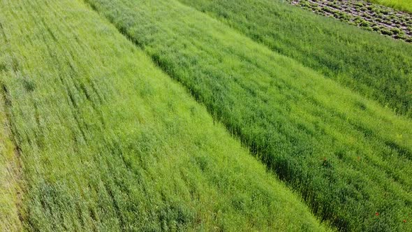 Aerial drone view of a flying over the rural agricultural landscape.