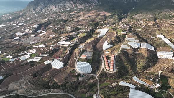 Dry Banana Plantations Aerial View