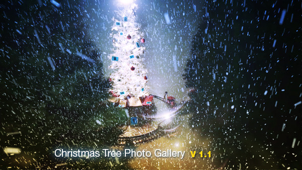 Christmas Tree Photo Gallery