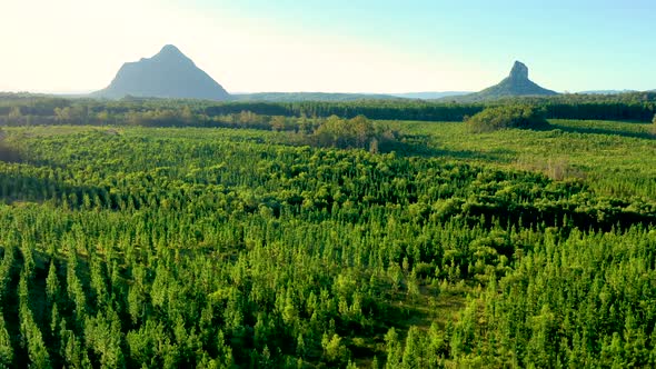 Aerial view of the Glass House Mountains, Sunshine Coast Hinterland.