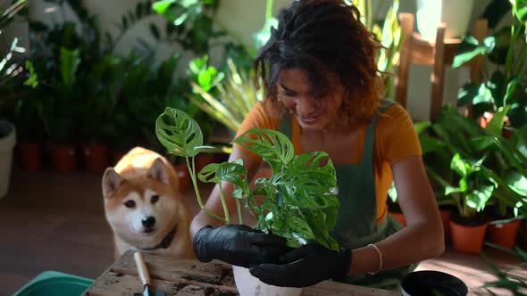 Room Plant Doing African Woman for Happy Hobby with Dog Spbd