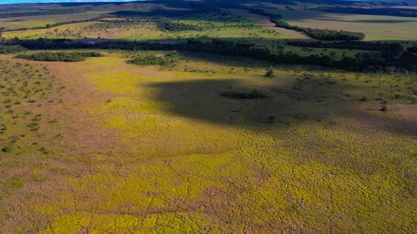 The Brazilian savannah dry from deforestation and drought - aerial flyover