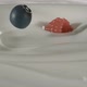 Fresh red-black raspberries and blueberries rain on yogurt in slow motion – Close up - VideoHive Item for Sale