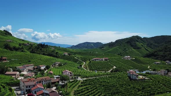 Vineyards with rural houses in Italy during a sunny summer day. Aerial drone shot of the green hills