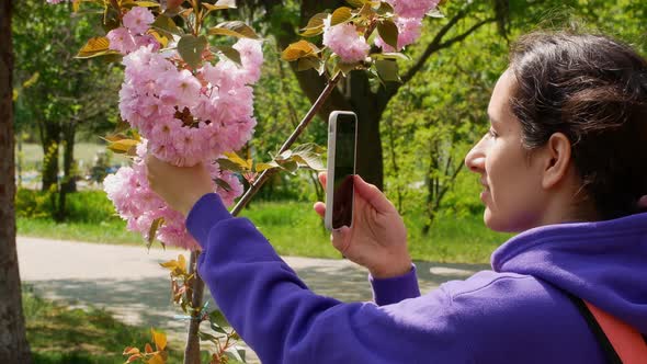Beautiful girl on a sunny day photographs bright sakura flowers on the phone.