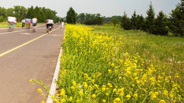 Active Recreation in the Park alt