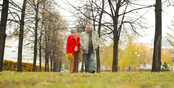 Love Never Gets Old alt