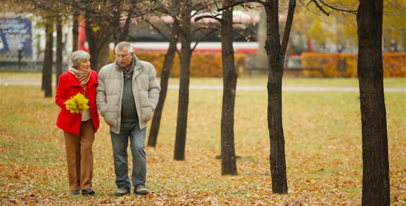 Positive Seniors alt