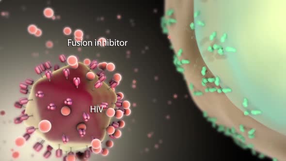 Destructive effect of HIV virus on cells
