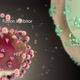 Destructive effect of HIV virus on cells - VideoHive Item for Sale