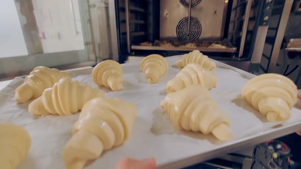 Baker Puts Baking Sheet of Raw Croissants Into the Combi Oven