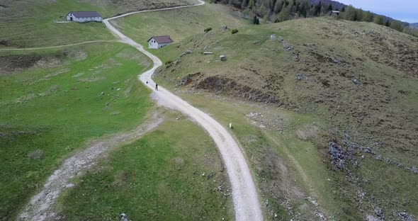 Aerial drone view of a hiker and her dog on a dirt road with green hills.