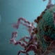 Cancer Cell Growth II Shot 04 - VideoHive Item for Sale