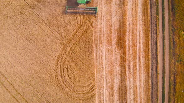  Impressive Flight Over a Working Combine Harvesting Tons of Ripe Barley