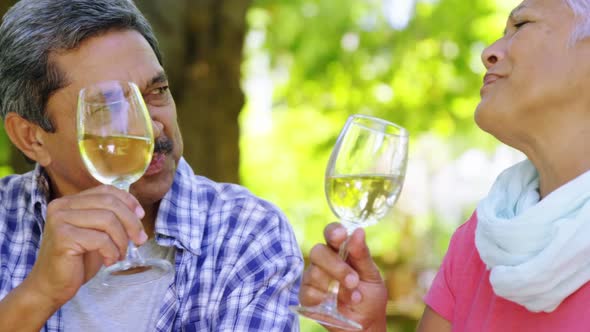 Senior couple drinking wine