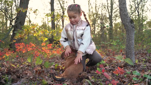 Little Girl are Playing with Her Dog