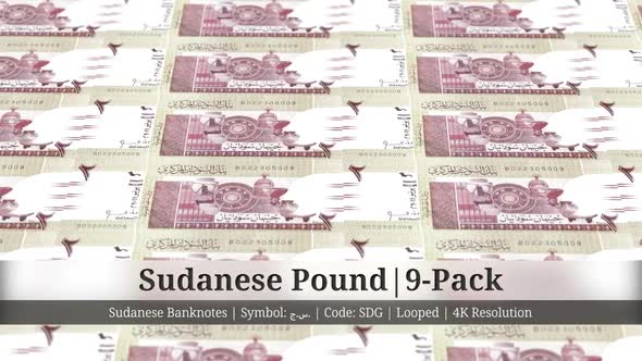 Sudanese Pound | Sudan Currency - 9 Pack | 4K Resolution | Looped